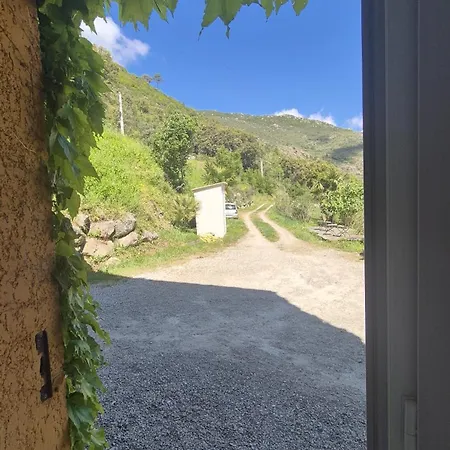 A Pianella Gasthof Castirla