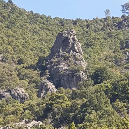 A Pianella Guest house Castirla