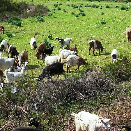 A Pianella Gæstehus Castirla
