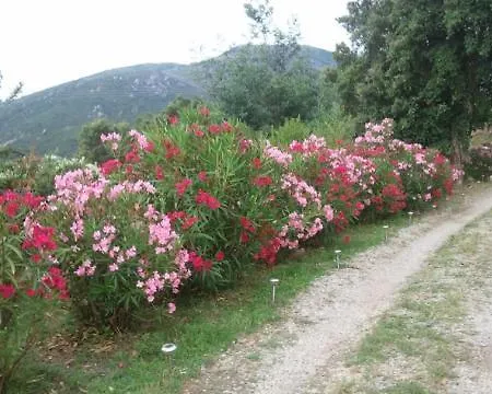 Maison d'hôtes A Pianella 3*