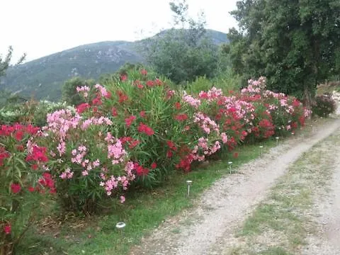 בית הארחה A Pianella 3*